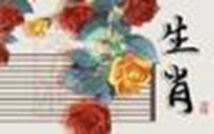 属马女的财运(属马女的财运方向与位置)