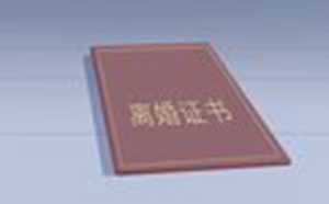 梦见老公和自己离婚了意味着什么(梦见老公和前任复合要和我离婚)