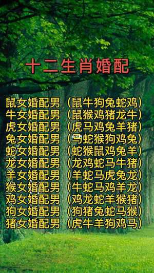 12生肖婚姻配对表(姻缘配对生辰八字)