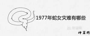 蛇女6月运势(蛇女六月运势)
