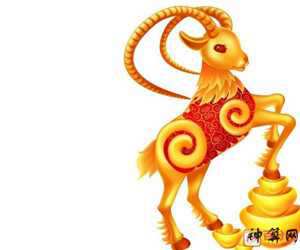 属羊家庭风水摆设(属羊家庭风水摆设图片)