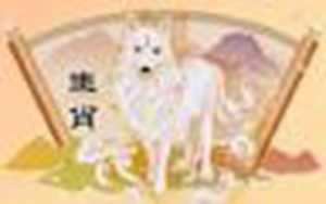 1982年属狗哪年财运最好(1982年属狗今年财运怎么样)