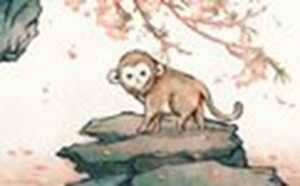 猴人遇虎年2022运势如何(猴人遇虎年2022每月运势如何)