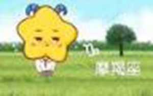 头脑最厉害的星座是哪个星座