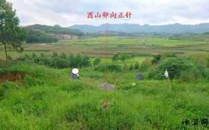 风水中从卯向酉(风水中从卯向酉是什么)