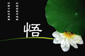 什么样户型风水旺