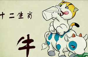 属虎和属牛的人合得来吗(属虎与属牛的合得来吗)