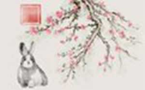 属兔的今年多大(属兔的今年多大岁数2021年)