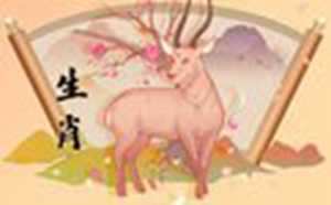 91年属羊人注定的婚姻(91年属羊人注定的婚姻运势)