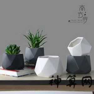 六角风水(六角风水盘)