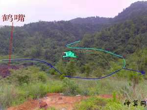白鹤仙人风水(白鹤仙人风水图片)