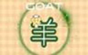 79年羊哪年运势能好些(79年的羊哪年运势最好)