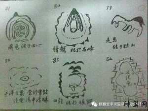 形峦风水学pdf(形峦风水学图解)