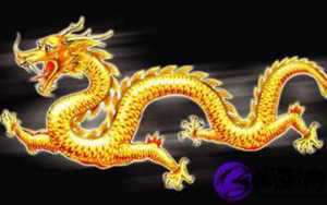 2016年属龙的8月运势如何(2016年属龙的8月运势如何呢)