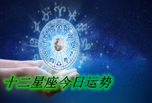 今日星座运势查询(今日星座运势查询)