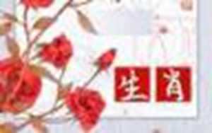 婚姻属相配对表