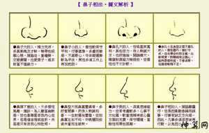 风水中鼻代表什么(风水中鼻子代表什么)