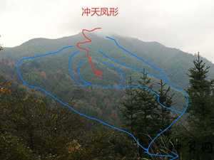 凤仙风水(凤仙风水作用)