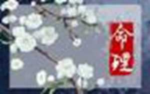 抽签看财运(免费抽签看财运)
