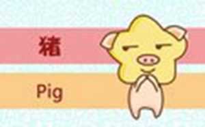 属猪双鱼座2021年运势详解全年运程完整版(属猪双鱼座2021年运势及运程)