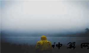 办公室挂什么画风水好(办公室挂什么画风水好风水讲究)