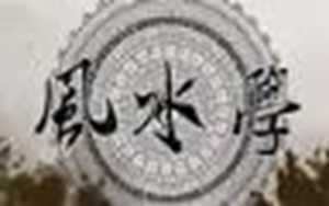 适合放客厅的大盆花卉(适合放客厅的大盆花卉简笔画)