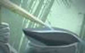 把金牛男迷得死死的星座女(十二星座的结婚戒指)