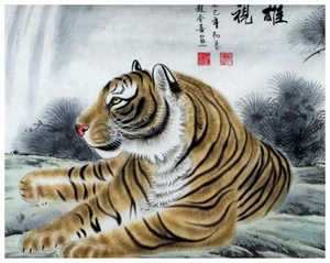 86年属虎的三大劫难(86年属虎的三大劫难男)