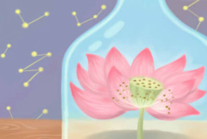 向日葵的花语与风水有何联系(向日葵花的寓意和风水)