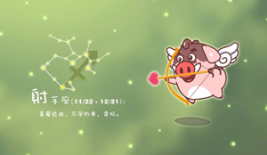 射手和什么星座最配(射手和什么星座最配排名)