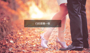 注定要和射手座女人结婚的星座男人-神算网(适合和射手女结婚的星座男)