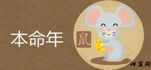 2017属鼠七月爱情运势(2017属鼠七月爱情运势如何)
