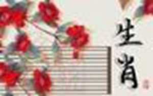 什么属相结合做夫妻最配