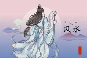 客厅电视两边摆什么植物旺财(客厅电视两边摆什么植物旺财)