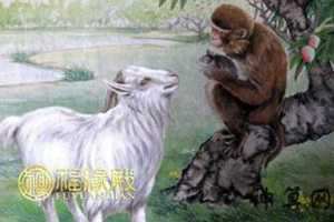 属猴和属羊的婚姻如何(属猴和属羊的婚姻如何)