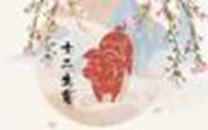 94狗和95猪合婚吗(94狗男和95猪女结婚好不好)