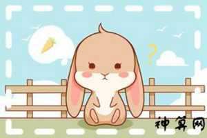 2018年腊月属兔的运势如何(2018年腊月属兔的运势如何呢)
