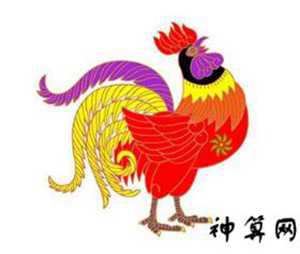 1994年鸡年运势(1994年的鸡运势如何)