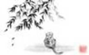适合属猴人长期佩戴的吉祥物(适合属猴人长期佩戴的吉祥物)