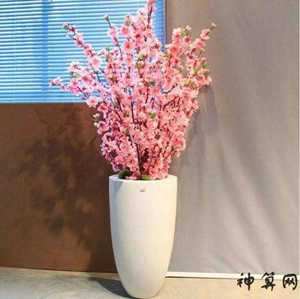 家里什么样的风水招桃花(家里什么样的风水招桃花最好)