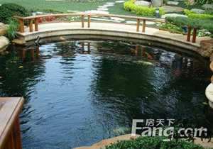 屋后有池塘风水好吗(屋后有池塘风水好吗视频)