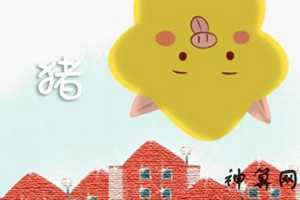 属相猪楼层风水(属相猪楼层选择)