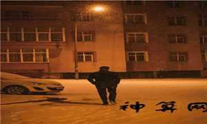 转运竹风水