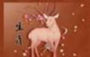 属羊的91年的财运怎么样(属羊的91年的财运怎么样呢)