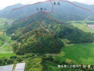 风水格入首龙五行属性(风水格入首龙五行属性是什么)