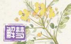 梦见水是有财运吗-神算网(梦见水代表财运吗)