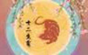 属狗和属鼠的婚姻如何(属狗和属鼠的婚姻如何很般配的一对)