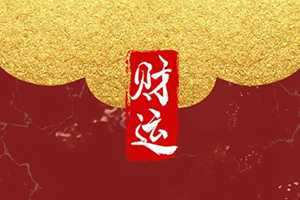 办公室放啥花好招财