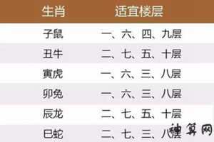 十二生肖住几层楼最佳(十二生肖住几层楼最佳呢)