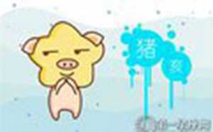 属猪在手机中必装哪几款APP-神算网(属猪的手机)